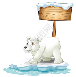 木制招牌下面的一只白北极熊图片