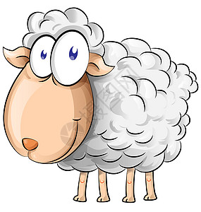 绵羊漫画白色母羊羊毛羊肉绘画卡通片乐趣农场哺乳动物插图图片