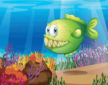 绿色食人鱼栖息地动物池塘礼物射线海洋珊瑚蓝色生物居民图片