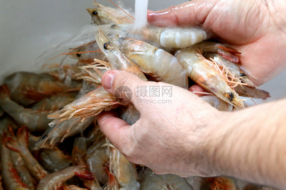 挪威龙虾渔业身体水产品手指部位图片