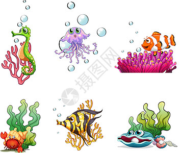 不一样的海洋生物艺术家贝壳海洋草图素描海藻气泡呼吸珍珠海马图片