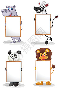 四个有空白板的不同的动物海报河马狮子角落双方广告头发公告长方形木板图片