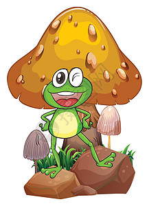 在巨蘑菇附近 一只微笑的青蛙图片