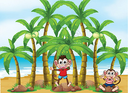 海滩上带椰子树的猴子图片