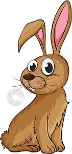 一只微笑的兔子动物荒野牙齿姿势粉色绘画白色毛皮棕色胡须图片