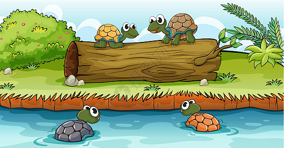 水和原木上的海龟图片