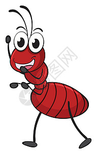蚂蚁漏洞绘画荒野白色红色昆虫卡通片工人动物野生动物背景图片