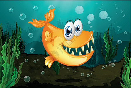 海藻附近的一只黄色食人鱼图片