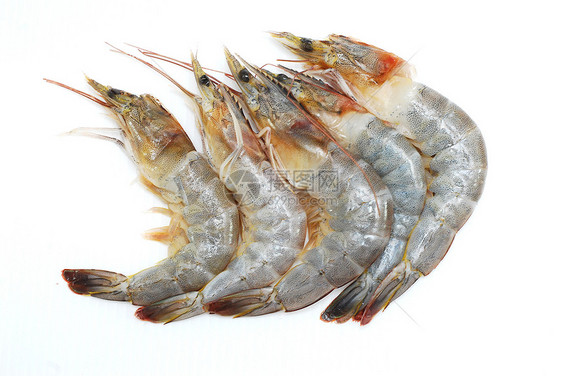 白色背景的虾动物美食老虎野生动物宏观烹饪餐厅贝类盘子煮沸图片