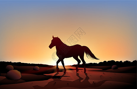 沙漠中日落景色中的一匹马图片