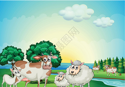 流水河附近的羊 牛和山羊图片