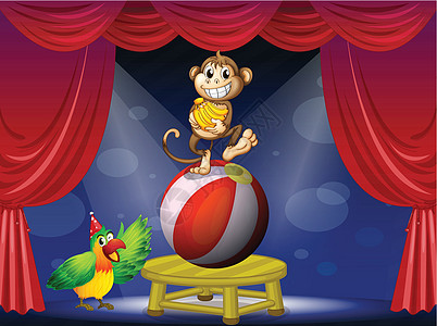一只猴子站在球和鸟上图片