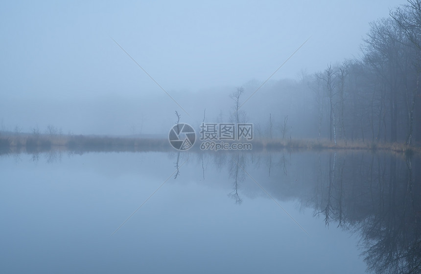 森林和浓雾中的野湖图片