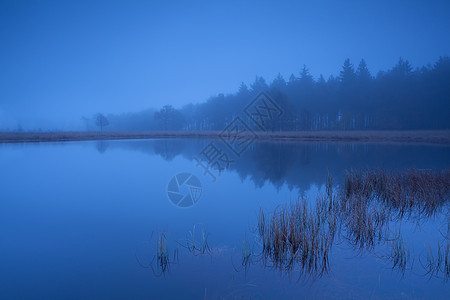 湖边的雾黄昏图片