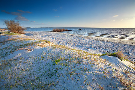 沙滩上的阳光海浪支撑风景晴天海岸海洋金子农村地平线天空图片