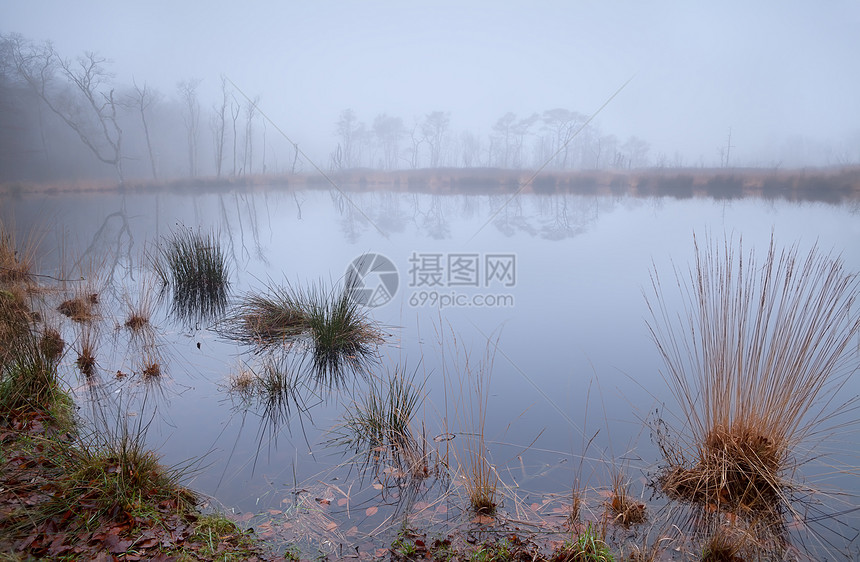 浓雾中的野生小湖图片