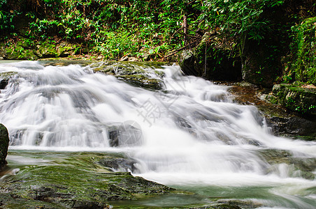 沙里卡瀑布岩石瀑布水池植物苔藓叶子森林丛林场景溪流图片