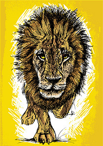 非洲一头雄性大狮子的拼图猎人哺乳动物捕食者丛林动物男性食肉绘画毛皮眼睛图片