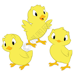 卡通鸡婴儿收藏插图农场小鸡黄色绘画微笑动物家禽图片