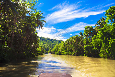 菲律宾博霍尔岛热带洛博克河 蓝天和蓝色天空观光棕榈木头旅游风景冒险航程农村旅行花园图片