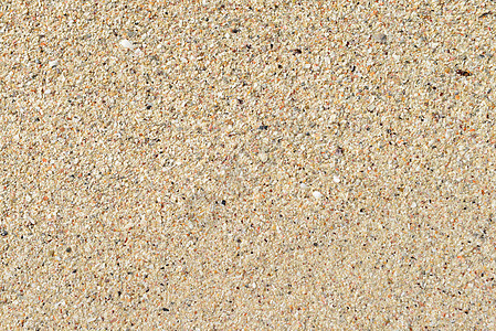 沙沙海滩干旱海洋粒状热带海岸假期粮食材料沙丘墙纸背景图片