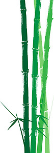 手画的竹绿色轮背图示框架竹子文化文字分支机构树叶邮票阴影象形墨水图片