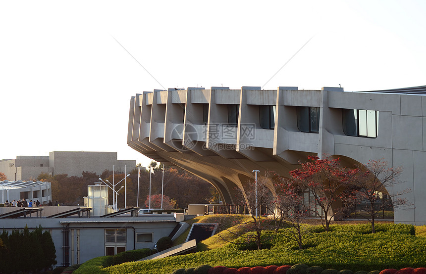 日本东京Yyoogi国家体育馆体育场建筑电缆运动员现代主义者游戏建筑学国家运动曲线图片