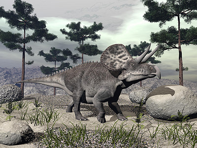 单立体恐龙  3D转化天空松树阴影动物爬虫捕食者插图古生物学蜥蜴岩石图片