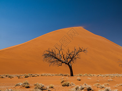 纳米德沙漠第45号迪内45号丘陵前的阿卡西亚树公园纳米布阴影寂寞农村蓝色橙子日落干旱天空图片