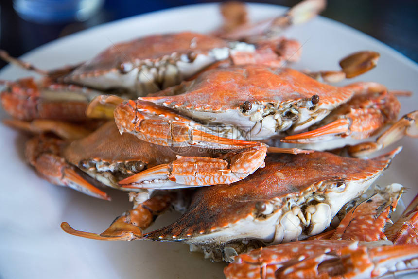 近身蒸汽蓝螃蟹餐厅午餐黄油贝类动物橙子海鲜服务假期甲壳图片