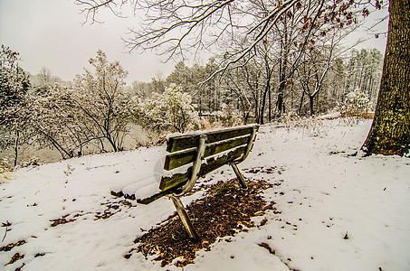 雪地上公园的长椅 覆盖着游湖的公园树干白色湖泊树叶板凳图片