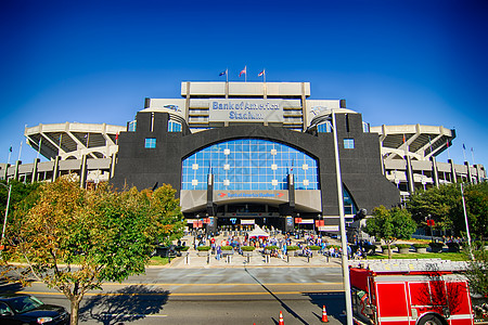 2014年10月10日 - 豹子Nfl体育场图片