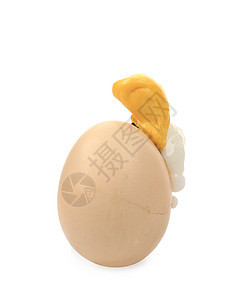煮鸡蛋在白色上黄色早餐椭圆形饮食烹饪营养鸡蛋美食蛋壳母鸡图片