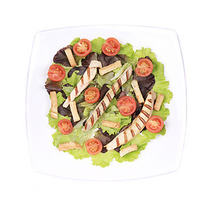 配上蔬菜的菜卷沙拉油炸烹饪产品白色炙烤绿色草药厨房盘子面包块图片