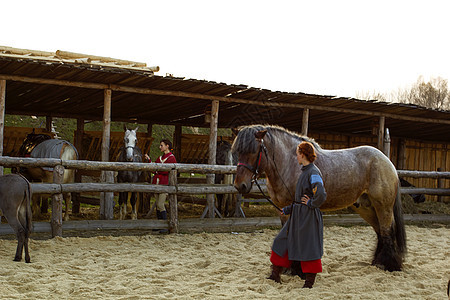 稳定女孩女性骑术女士棕色戏服黑发动物农场运动图片