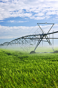 农田灌溉设备技术农村喷涂农场农业食物机器金属农作物小麦图片