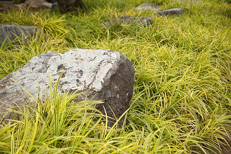 草坪上的石头图片