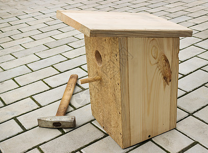 来自董事会的小鸟屋木制品工具木工八哥爱好材料木头工艺木匠作坊图片
