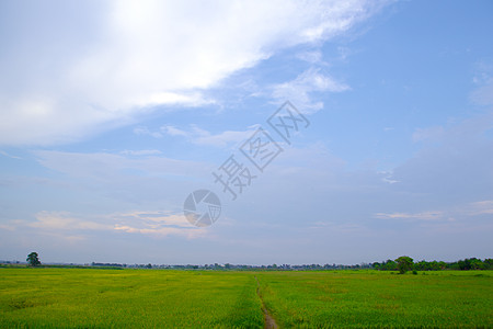 天空的飞地土地国家农场天堂农村场地全景天气牧场生长图片