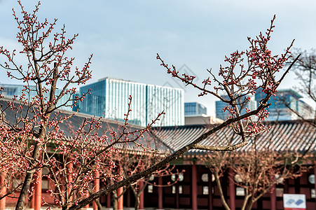 庆博中旅行网关城堡吸引力历史性神社游客建筑学场景寺庙图片