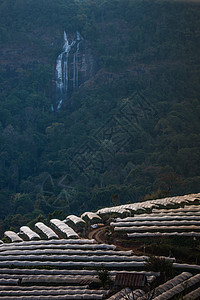 温室植物泰国清迈旅游农业夜景高地农村场景生长星星环境天空图片