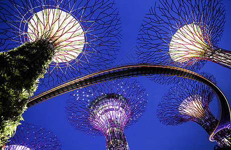 新加坡花园在黄昏的天边海湾旁雕塑场景景观商业市中心旅游游客花朵天空化身图片