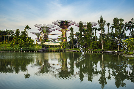 新加坡花园在黄昏的天边海湾旁市中心雕塑化身地标花朵树林天空热带植物群景观图片