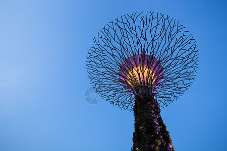 新加坡花园在黄昏的天边海湾旁场景化身花朵市中心建筑奢华热带游客吸引力图片