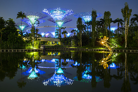 新加坡花园在黄昏的天边海湾旁建筑奢华森林地标热带吸引力树林商业化身旅行图片