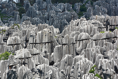 云南省石林国家公园娱乐假期森林旅游旅行晴天遗产编队石灰石柱子图片