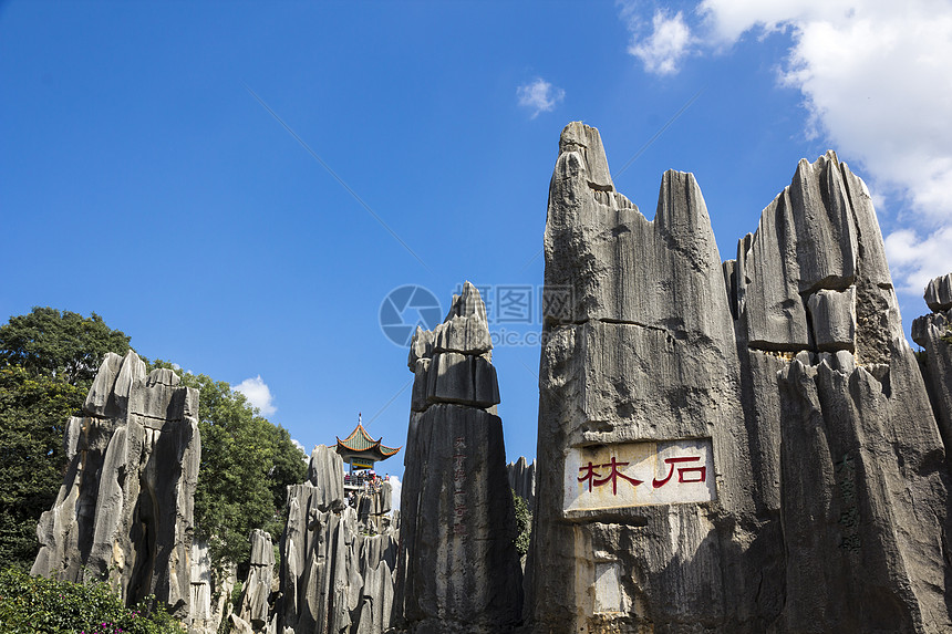 云南省石林国家公园地区钟乳石岩石遗产旅行森林旅游士林柱子天线图片