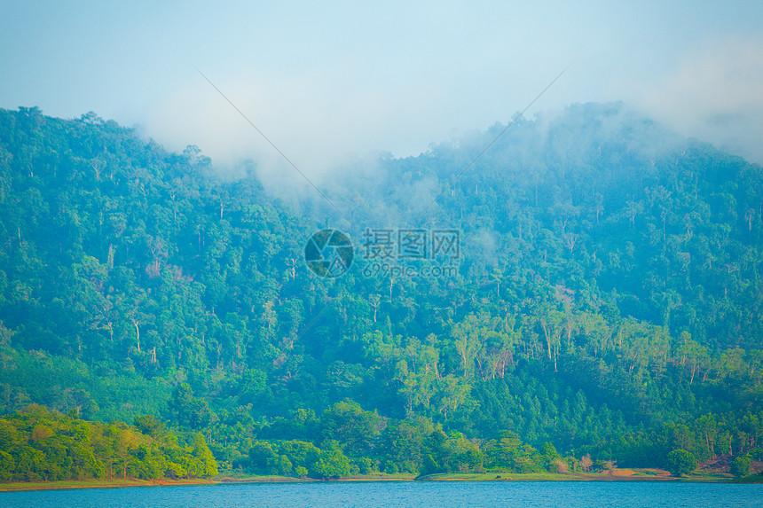 山区和森林叶子天空阳光爬坡荒野植物公园环境薄雾季节图片