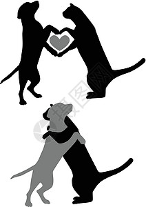 猫和狗抱抱图片