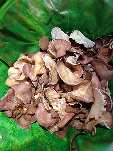 篮子里的生耳蘑菇耳朵食物图片